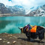 Gangtok Tsangmo Lake in Sikkim, India
