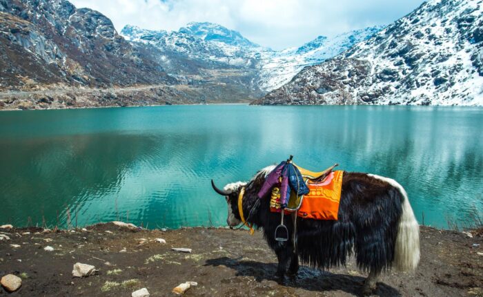 Gangtok Tsangmo Lake in Sikkim, India