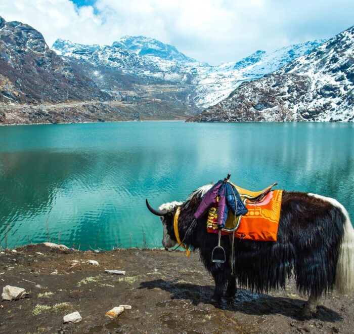 Gangtok Tsangmo Lake in Sikkim, India