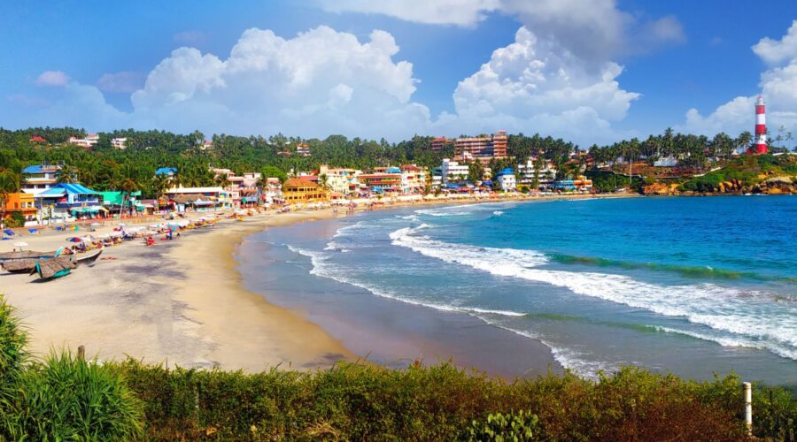 Panorama of an Ocean Shore