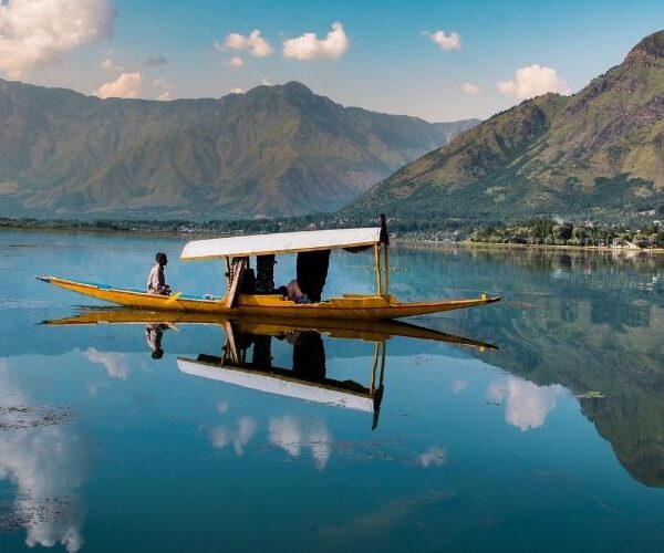 Kashmir for All