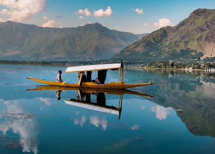 Kashmir for All