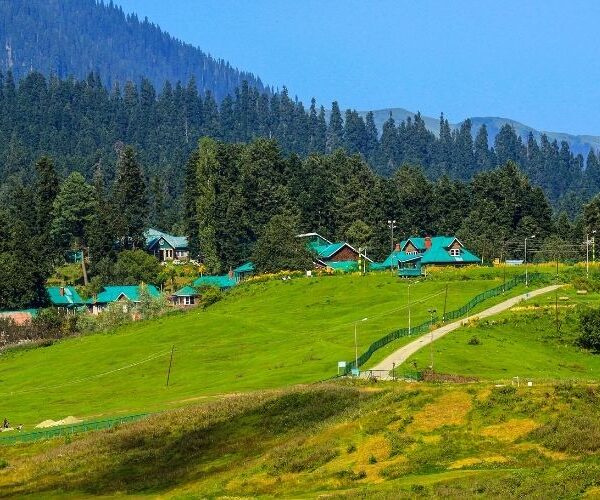 Kashmir Family Tour